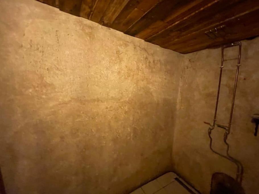 Maison Vigneron - Maison Et Studio Saint-Didier-sur-Beaujeu Extérieur photo