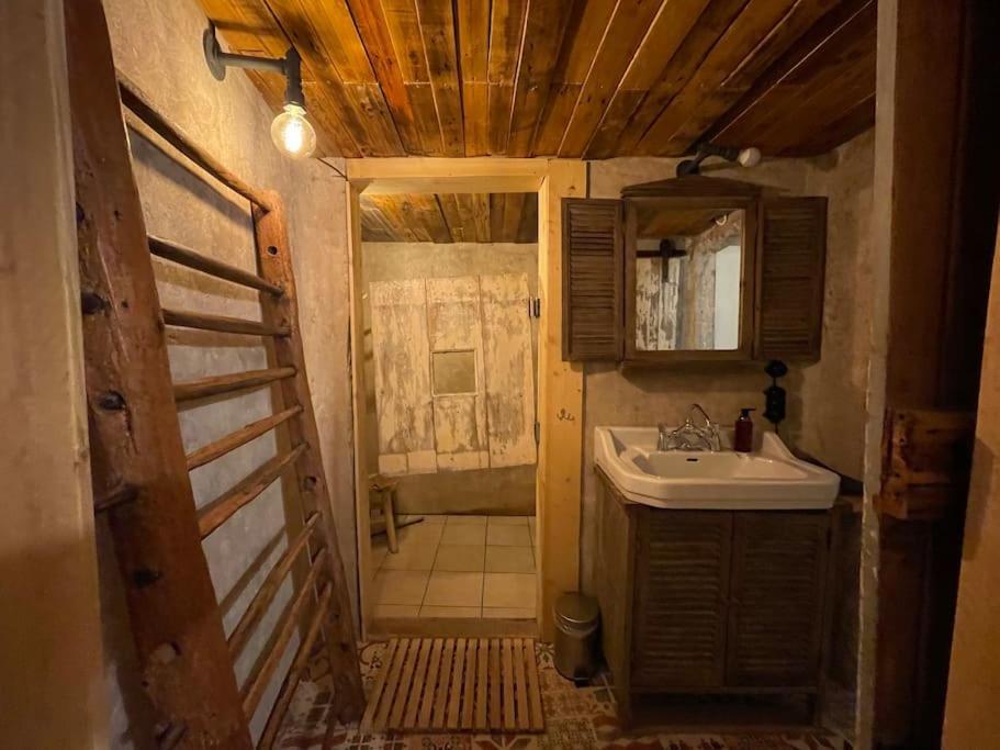 Maison Vigneron - Maison Et Studio Saint-Didier-sur-Beaujeu Extérieur photo